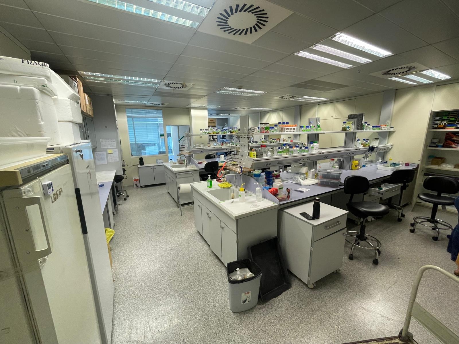 New laboratory 1.01